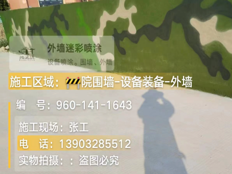 铜仁 迷彩漆喷涂价格（按平方米计费）